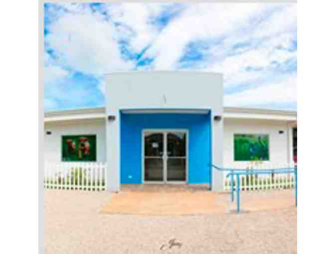 Annual Wellness Package for Your Pet by Hospital Tranquila Vet; Huacas