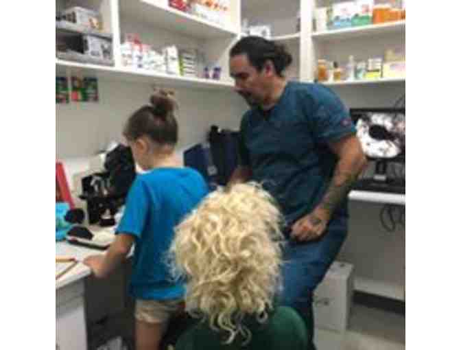 Annual Wellness Package for Your Pet by Hospital Tranquila Vet; Huacas