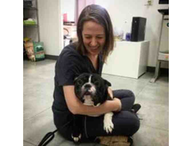 Annual Wellness Package for Your Pet by Hospital Tranquila Vet; Huacas