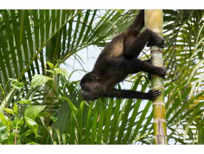 Romantic Two Night Stay with Breakfast at Conchal Hotel & $50 Credit at Papaya Restaurant