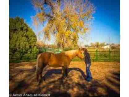 4 Horseback Riding Lessons at Moonshadow Ranch