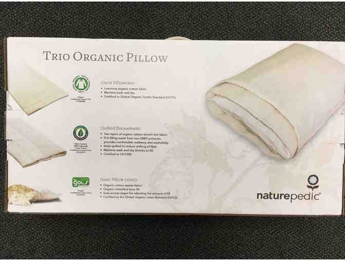 Organic Pillow