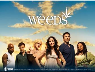 Weeds Walk-On Role & Day on the Set - Photo 1