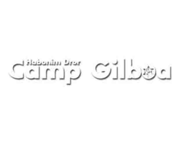 Camp Gilboa Sleep Away Camp Gift Certificate (A) for $800 off 4-week summer session