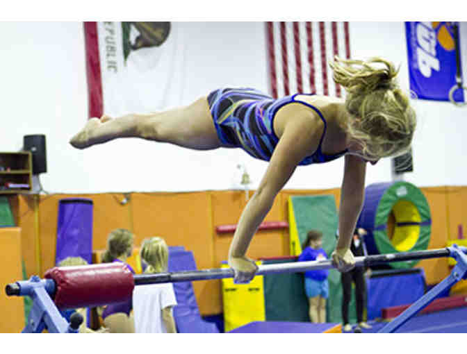 The Klub Gymnastics - 2 Classes & A Day of Camp!