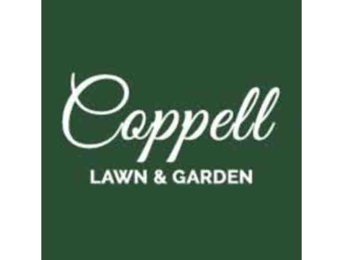 Coppell Lawn and Garden - 5 Flats of Seasonal Color - Delivered