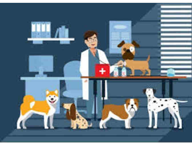 VCA Animal Hospital - Coppell -  Medical, Grooming, Boarding  - $100 Gift Certificate