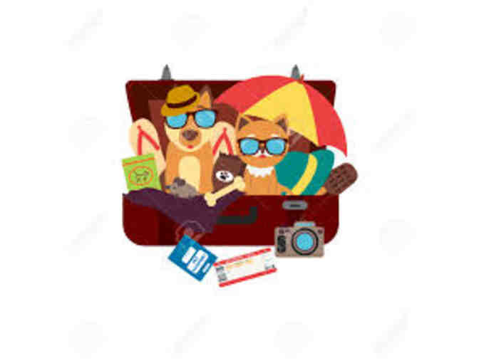 VCA Animal Hospital - Coppell -  Medical, Grooming, Boarding  - $100 Gift Certificate