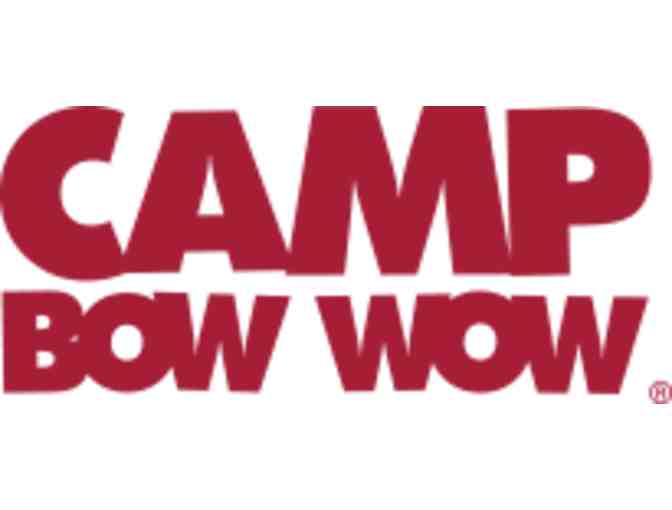 NEW! Camp Bow Wow - Day Camp for your Pooch + MORE