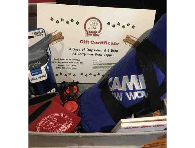 NEW! Camp Bow Wow - Day Camp for your Pooch + MORE