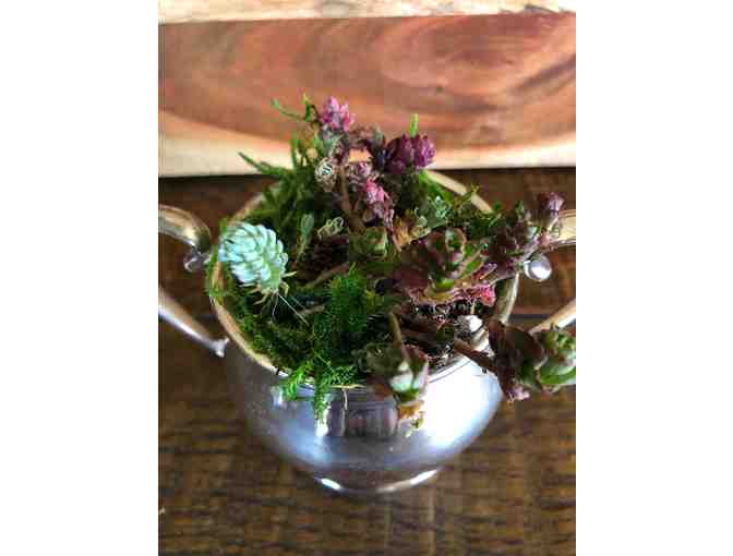 Sheffield Silver Sugar Bowl with Succulents