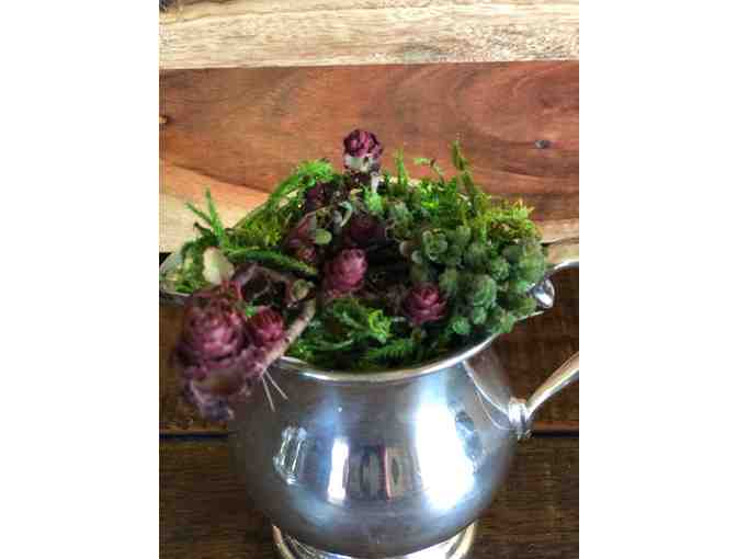 Sheffield Silver Creamer with succulents