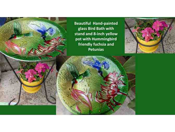 Bird Haven Starter Pack