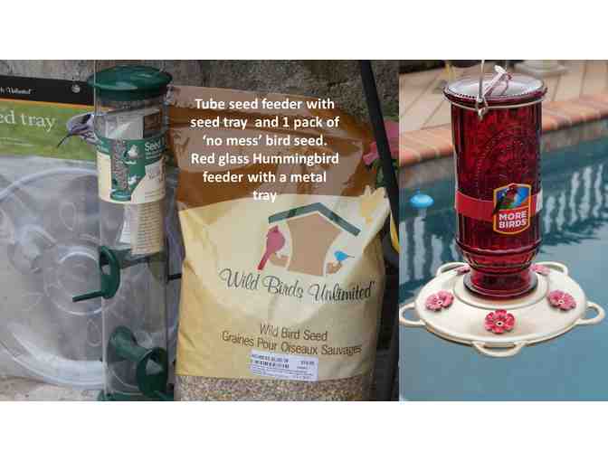 Bird Haven Starter Pack