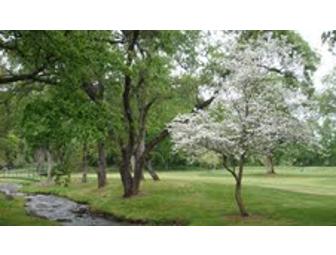 Round of Golf for Four with Cart and Lunch at Butte Creek Country Club