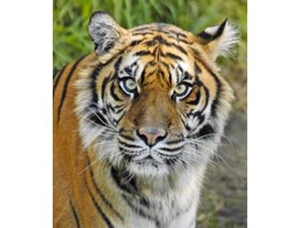 Party like an Animal at the L.A. Zoo...20 tickets!