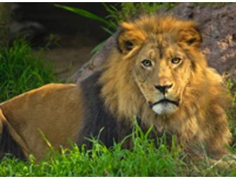 Party like an Animal at the L.A. Zoo...20 tickets!