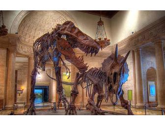 Family Level Membership at The Natural History family of Museums