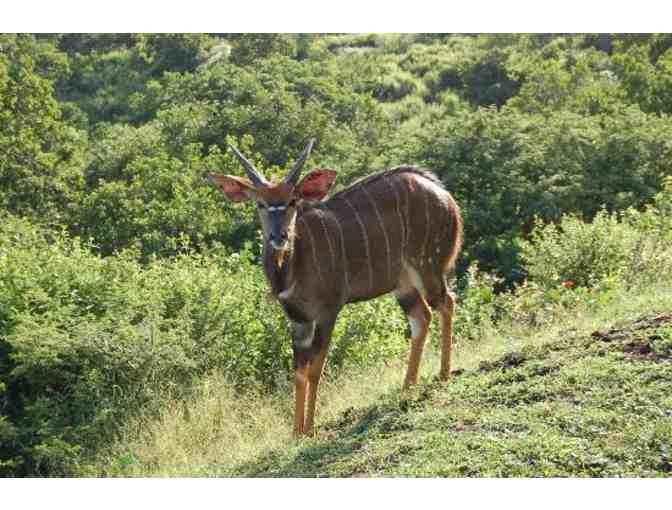 SOUTH AFRICAN PHOTO SAFARI FOR SIX-NIGHTS FOR TWO