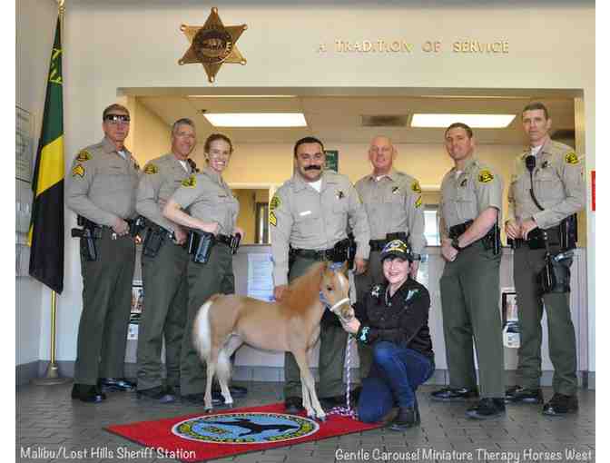 VIP Visit with Deputy Valor - Mini Therapy Horse