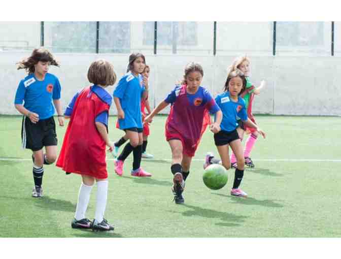 Premier Development Academy 2-Hour Soccer Clinic for 12 Players!