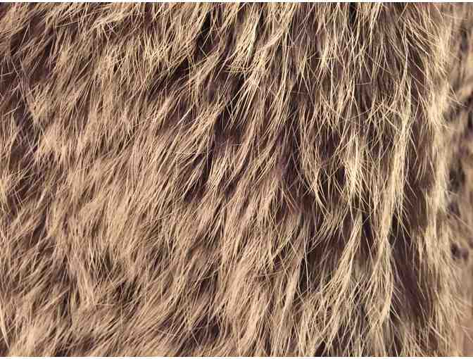 Woven Rabbit Jacket in Taupe from The House Showroom