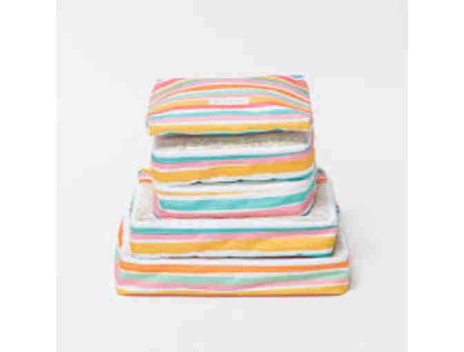 Oh Joy! + CALPAK Luggage Package w/ Photo Shoot