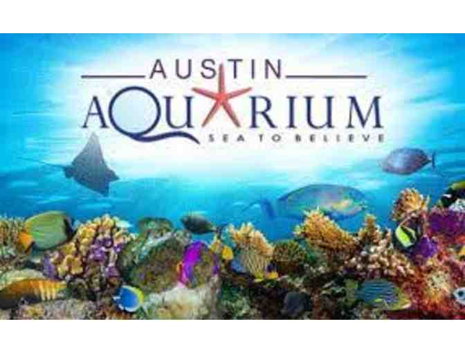 Austin Aquarium - Annual Pass (4 people) - Photo 1