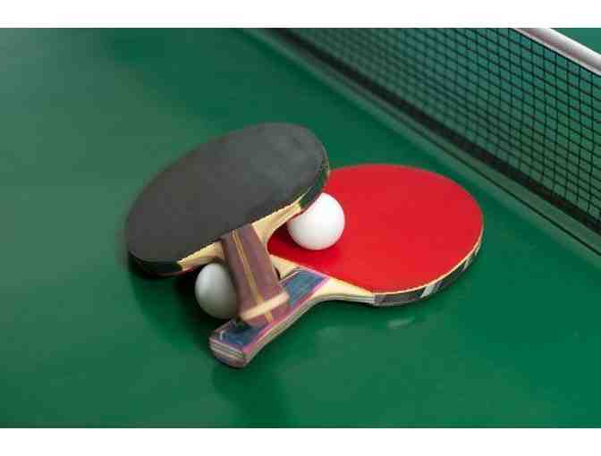 Table Tennis with Mr. Crow