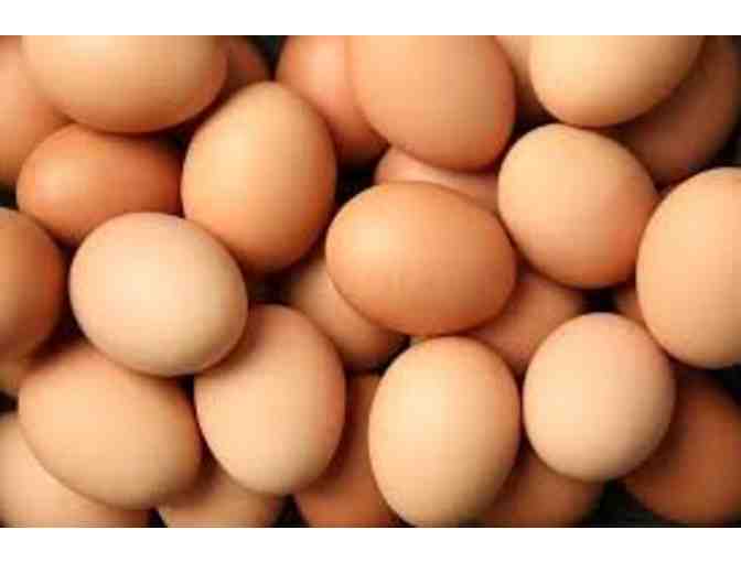 Fresh chicken eggs - 1 Dozen - Photo 1