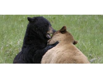 All-Inclusive Stay at Magnificent Montana Guest Ranch