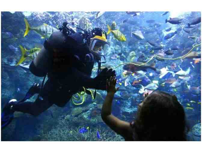 Afternoon at Shoreline is 'Shore' to Be Fun! (C)