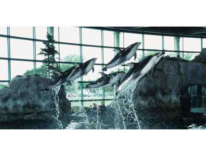 Four General Admission Tickets to Shedd Aquarium
