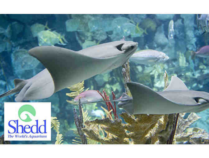 Shedd Aquarium Admission Tickets (4)