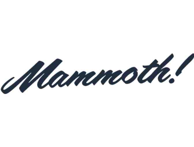 Mammoth Party Photo Booth