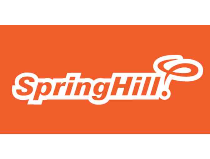 Spring Hill Day Camp Experience