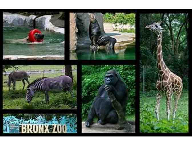 Family Zoos PLUS Membership to The Wildlife Conservation Society