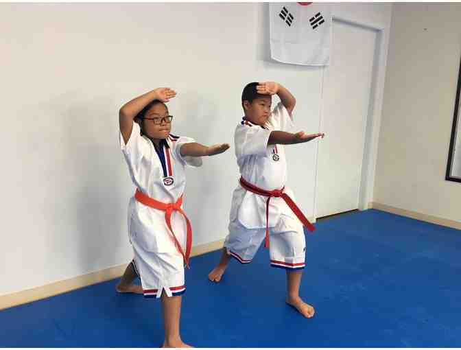2 week trial at American Korean Taekwondo in Teaneck, NJ - Photo 1