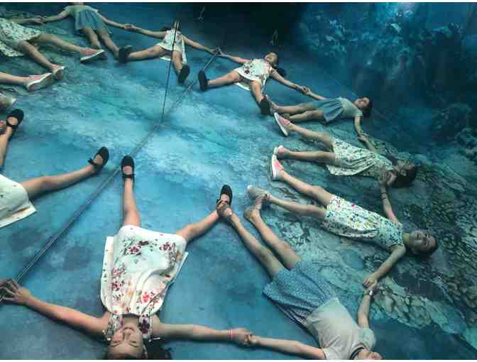 Two (2) tickets to Arcadia Earth Exhibit