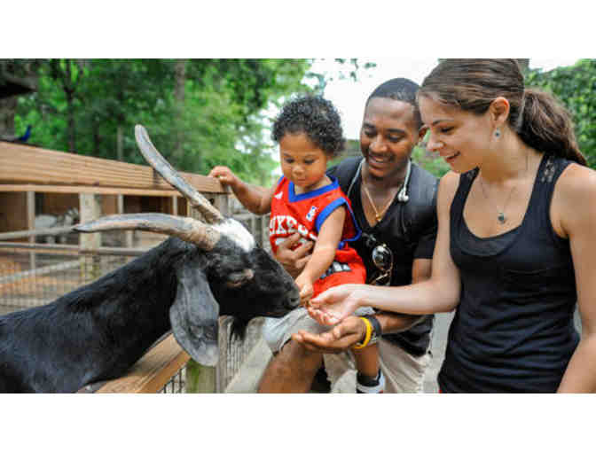 The Bronx Zoo - Four (4) General Admission Tickets