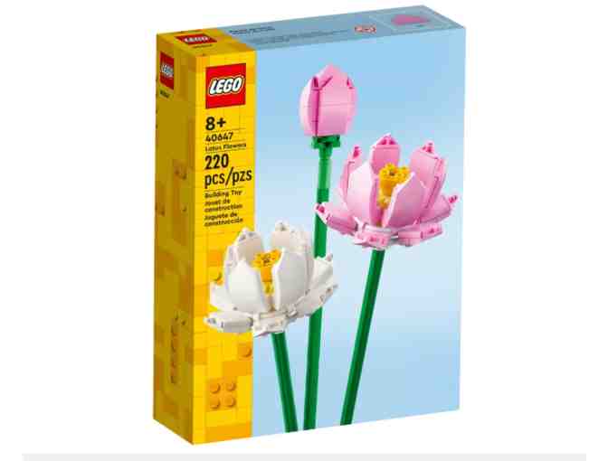 The Ultimate LEGO Bundle: 2 Season 2025&2026 Legoland Passes and 13 Awesome Lego Sets