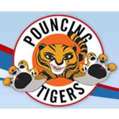 Pouncing Tigers, Martial Arts for Children