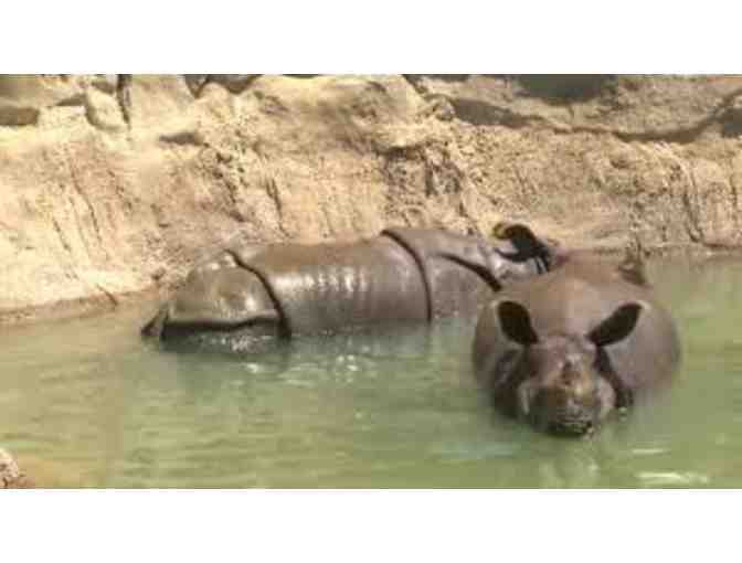 Central Florida Zoo and Botanical Gardens: 4 Adult Day Passes