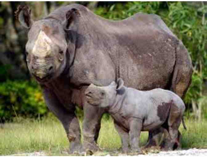 Zoo Miami - 4 Passes