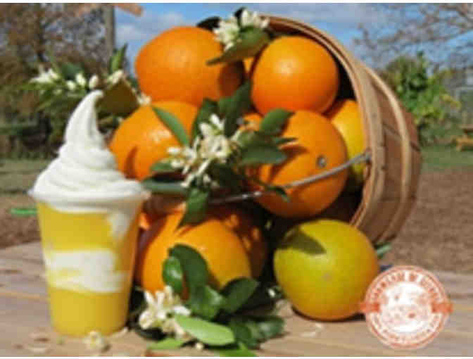 Showcase of Citrus - Monster Truck Tour