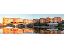 Viva Lake Las Vegas!