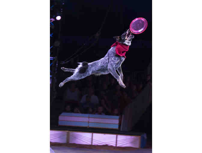 4 tickets to the Big Apple Circus - Photo 2