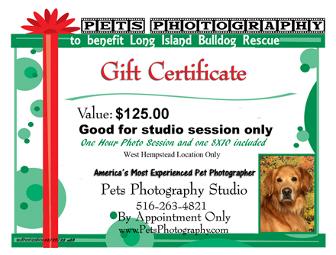 Pet Photography Photo Session with Pet's Photography Studio