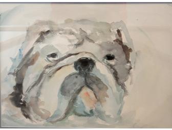Watercolor Bulldog Painting by Judy Lavendar