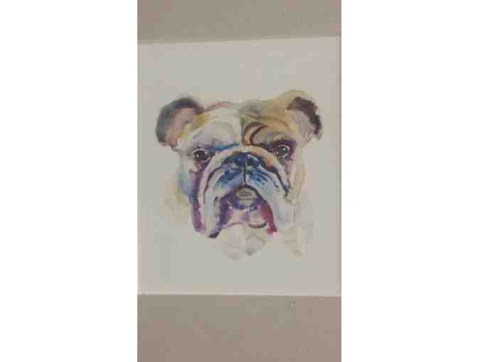 Bulldog Watercolor Painting by Local NYC Artist
